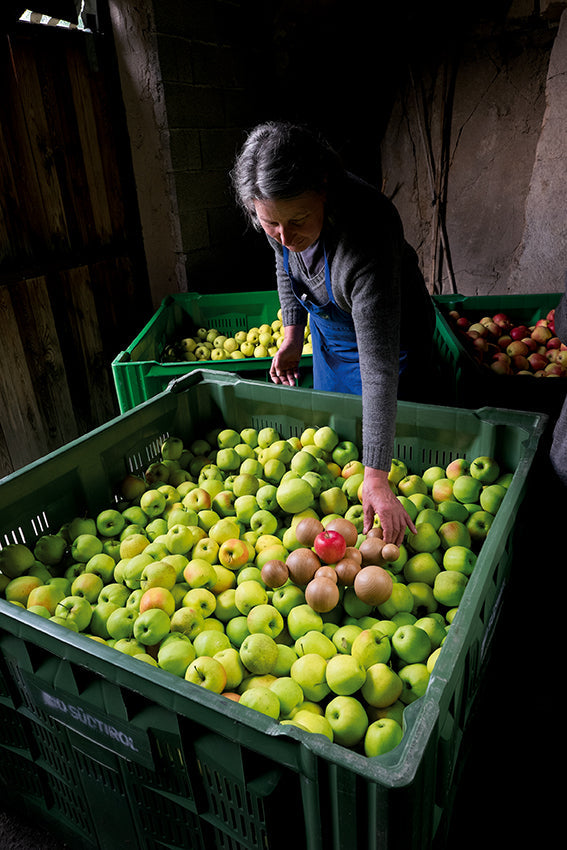 Obstschale Boule