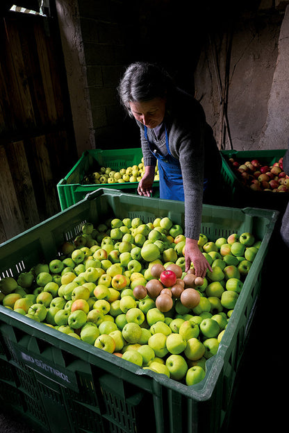 Obstschale Boule