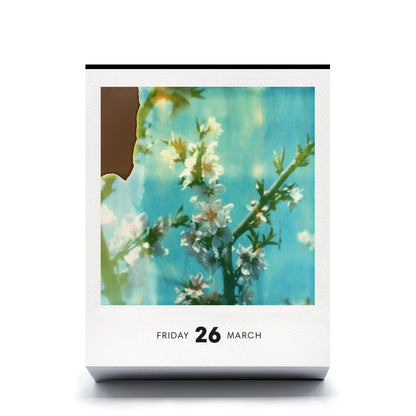 Photodarium 2027 – Foto-Abreißkalender