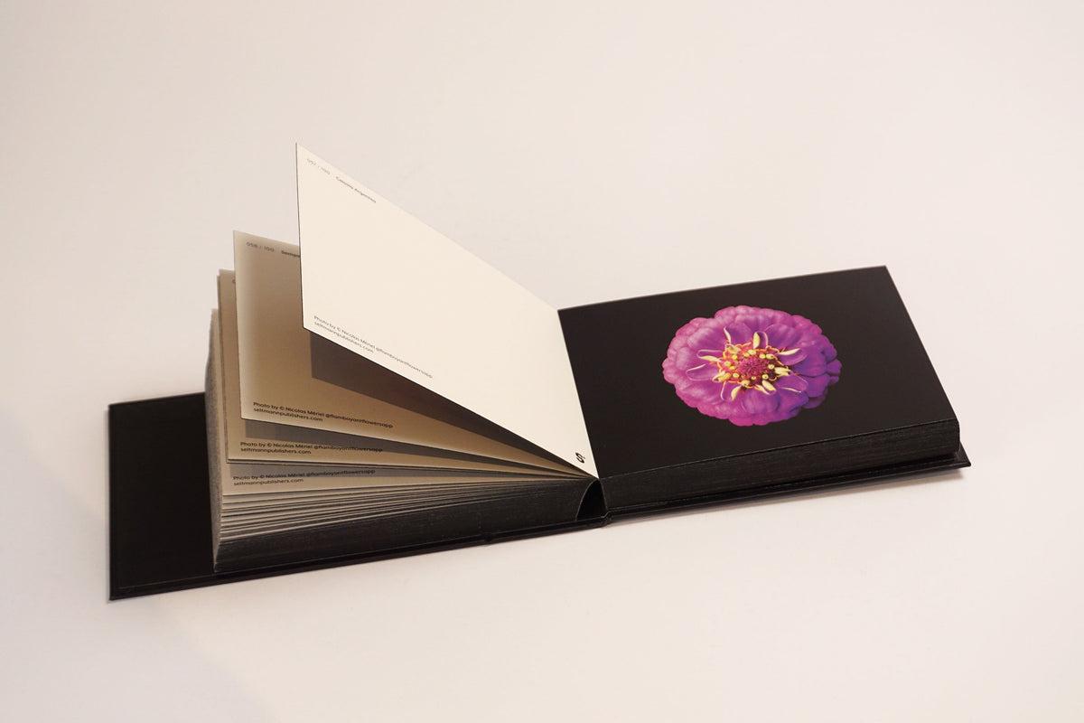 Aufgeschlagenes Blooming Book mit violetter Blüte auf schwarzem Grund und hochstehenden Postkarten.