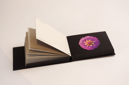 Aufgeschlagenes Blooming Book mit violetter Blüte auf schwarzem Grund und hochstehenden Postkarten.
