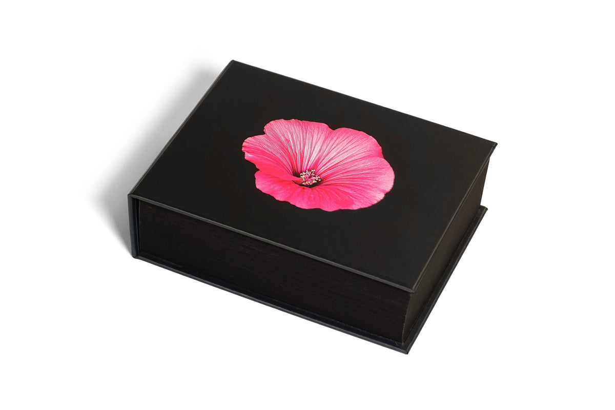 Schwarzes Hardcover-Buch mit einer einzelnen rosa Blüte auf dem Einband vor weißem Hintergrund.