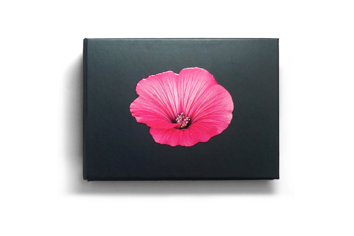 Das quadratische Buch The Blooming Book zeigt eine rosa Blüte auf schwarzem Hintergrund.