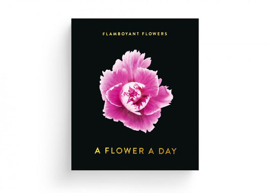 Flamboyant Flowers – Immerwährender Blumen-Abreißkalender