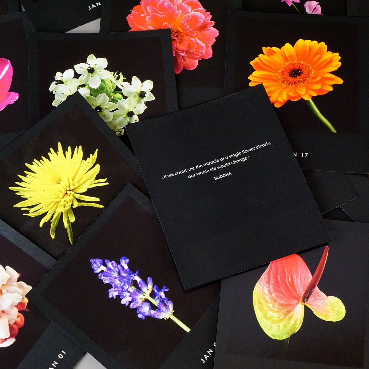 Schwarze Kalenderblätter des Kalenders Flamboyant Flowers mit leuchtenden Blumenmotiven und einem Zitat von Buddha.