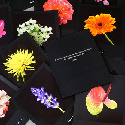 Schwarze Kalenderblätter des Kalenders Flamboyant Flowers mit leuchtenden Blumenmotiven und einem Zitat von Buddha.