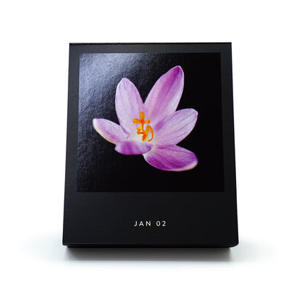 Aufgestellter Kalenderblock Flamboyant Flowers mit einer lila Blüte auf schwarzem Grund und Datumsangabe JAN 02.