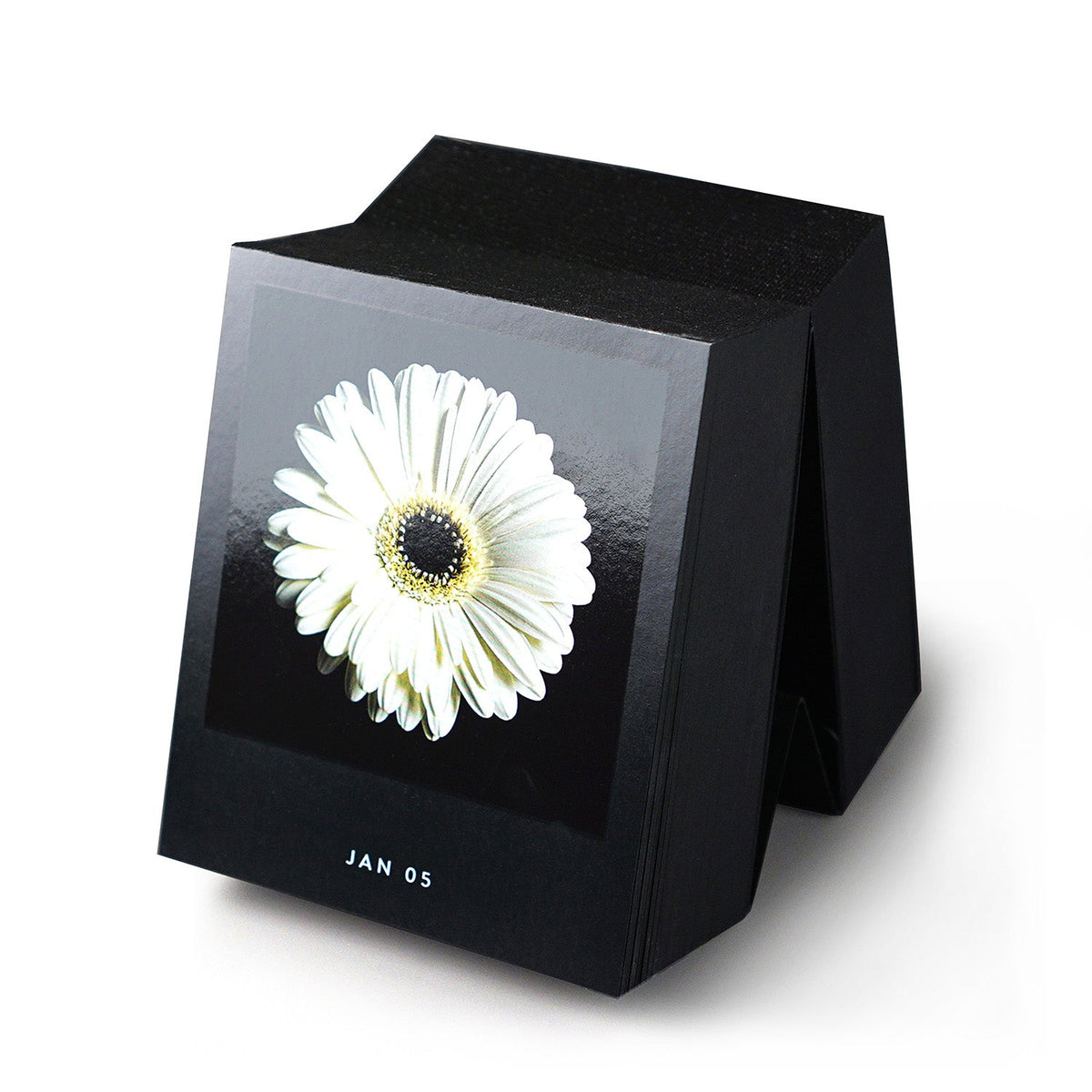 Schwarzer Tischkalender Flamboyant Flowers mit einer weißen Blüte und dem Datum JAN 05 auf dem aktuellen Blatt.