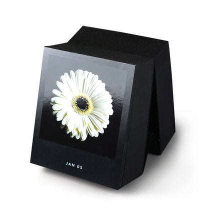 Schwarzer Tischkalender Flamboyant Flowers mit einer weißen Blüte und dem Datum JAN 05 auf dem aktuellen Blatt.