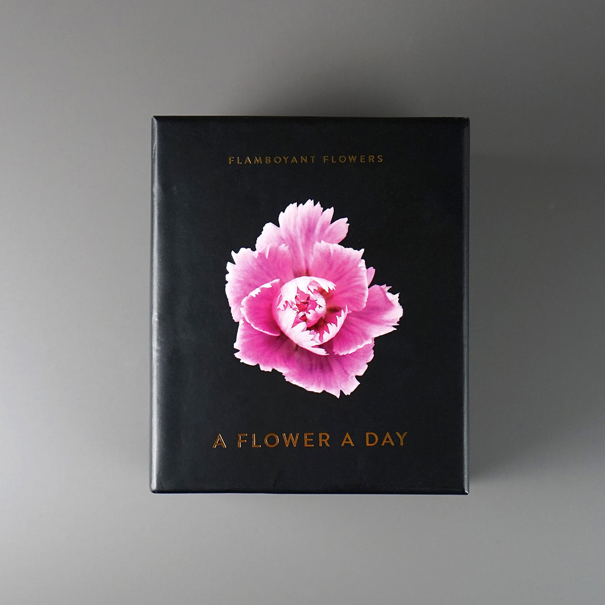 Schwarze Kalenderbox Flamboyant Flowers mit einer rosa Nelke und goldenem Schriftzug auf grauem Hintergrund.
