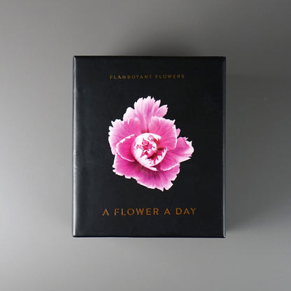 Schwarze Kalenderbox Flamboyant Flowers mit einer rosa Nelke und goldenem Schriftzug auf grauem Hintergrund.