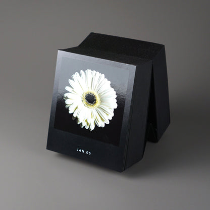 Schwarzer Abreißkalender Flamboyant Flowers mit einer weißen Blüte und dem Datum JAN 05 auf dem sichtbaren Blatt.
