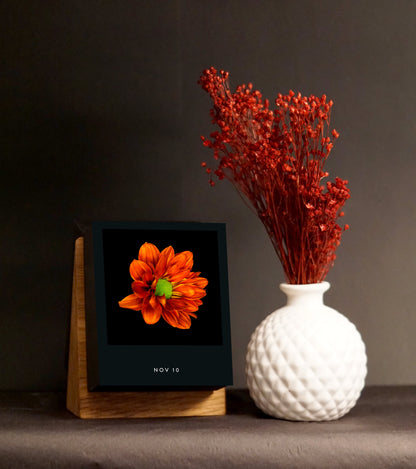 Tischkalender Flamboyant Flowers mit Motiv einer orangefarbenen Blume neben einer weißen Vase mit roten Zweigen.
