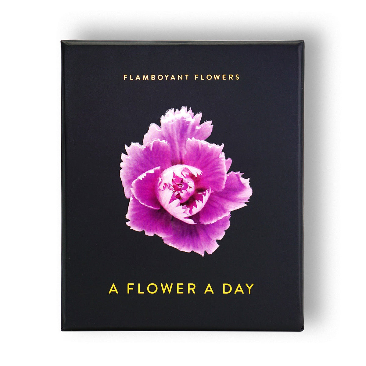 Schwarzes Buchcover mit violetter Nelke und goldgelbem Titeltext Flamboyant Flowers A Flower A Day