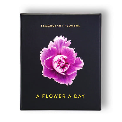 Schwarzes Buchcover mit violetter Nelke und goldgelbem Titeltext Flamboyant Flowers A Flower A Day