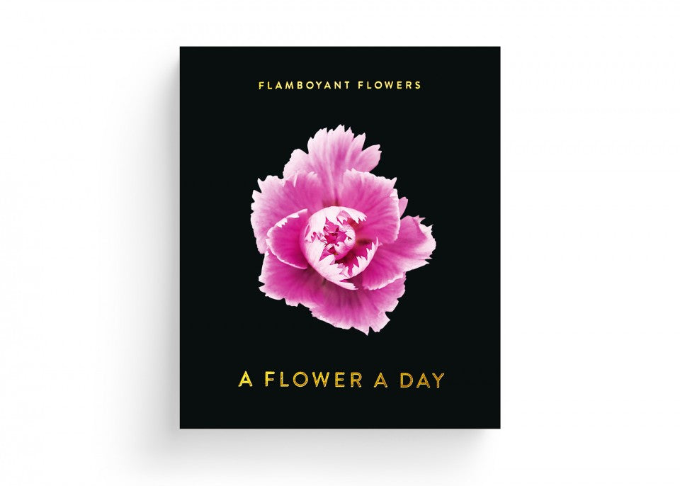 Flamboyant Flowers – Immerwährender Blumen-Abreißkalender