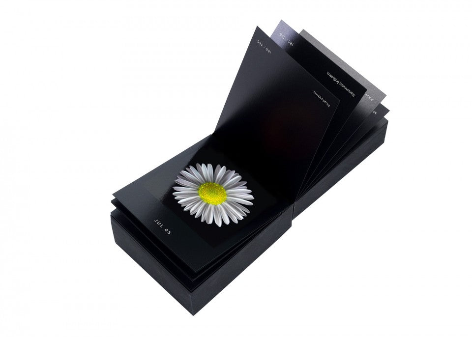 Flamboyant Flowers – Immerwährender Blumen-Abreißkalender