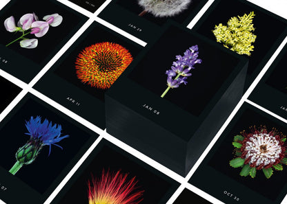 Flamboyant Flowers – Immerwährender Blumen-Abreißkalender