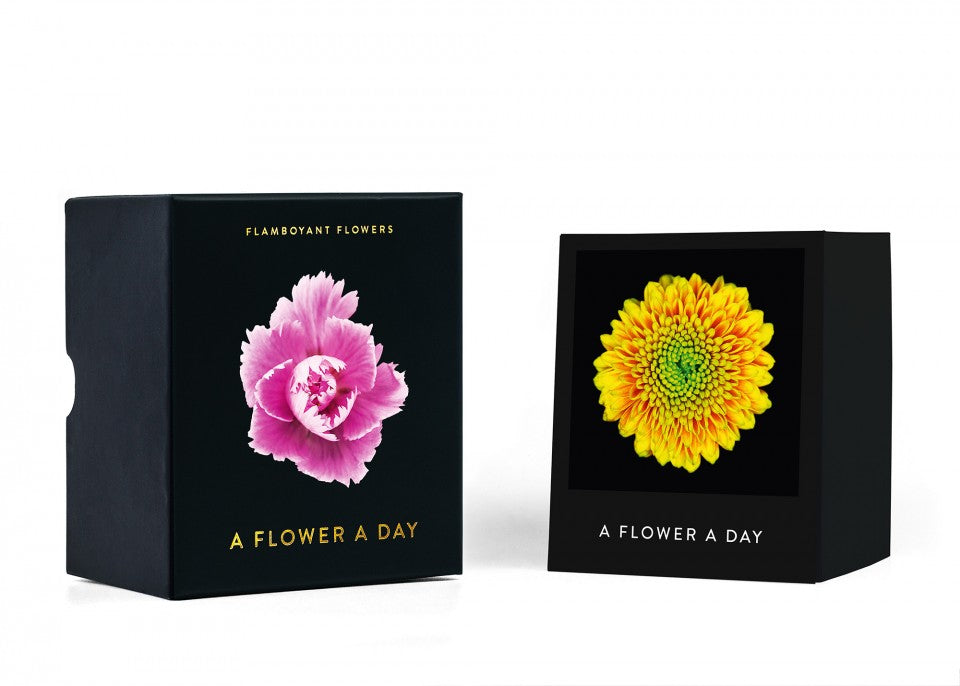 Flamboyant Flowers – Immerwährender Blumen-Abreißkalender