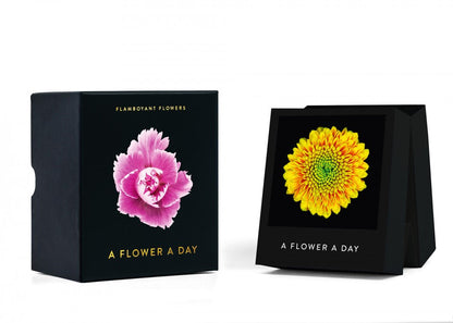 Flamboyant Flowers – Immerwährender Blumen-Abreißkalender