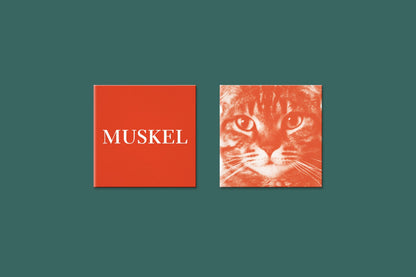 MISCHEN POSSIBLE - Das ultimative Kombinations- & Memospiel