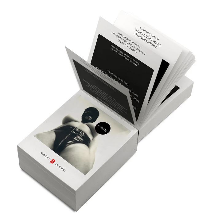 seltmann publishers abrisskalender photodarium private nude edition 2023, KALENDER, WOHNEN