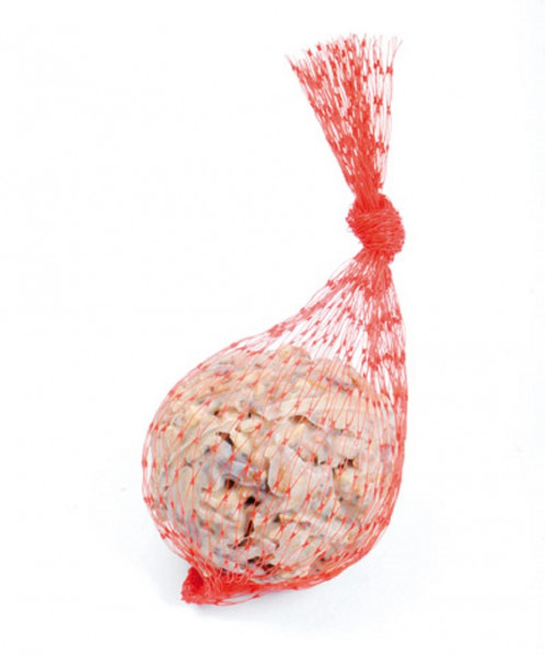 vorstellungskraft meisenknödel für menschen